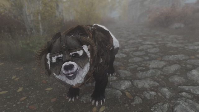 Dovahbear 004