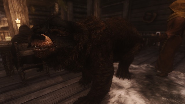 Dovahbear 001