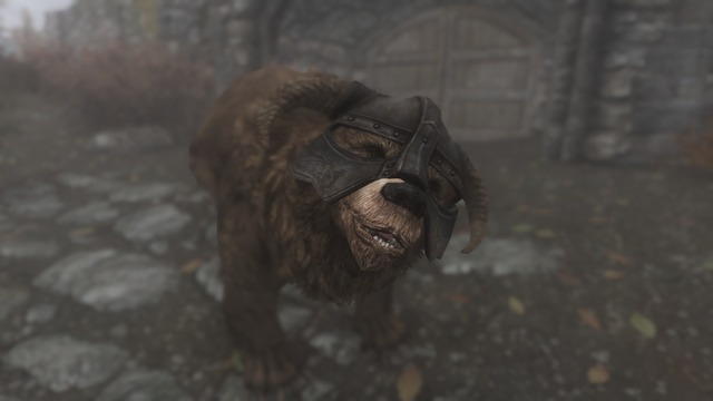 Dovahbear 003