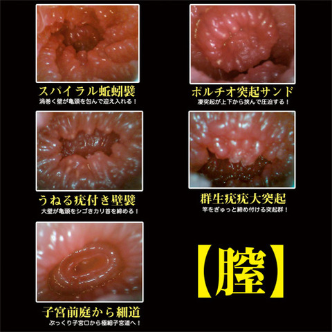large_17081224643600