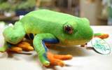 アカメアマガエル・リアルヌイグルミ