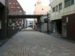 IMG_0444