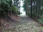 IMG_0471