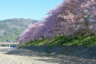 今井浜 (5)