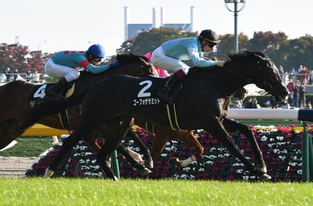 ゴーフォザサミット