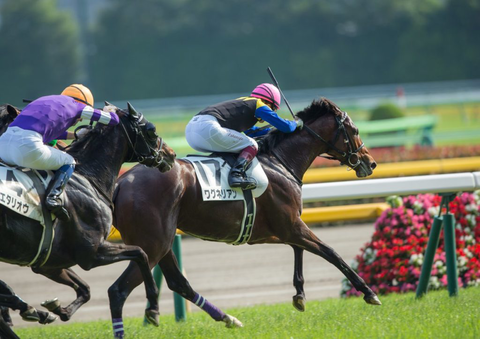 神戸新聞杯 特別登録