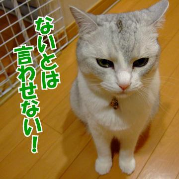ないとは言わせない