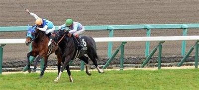 アドマイヤダイオウ ナムラシングン