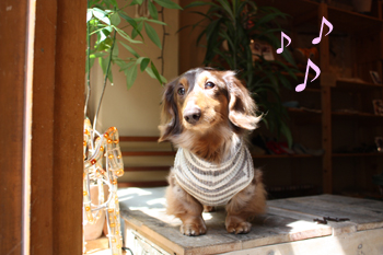 ♪♪♪Darwin