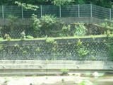 20100822名松線19