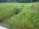 20100822名松線04