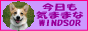 win-banner