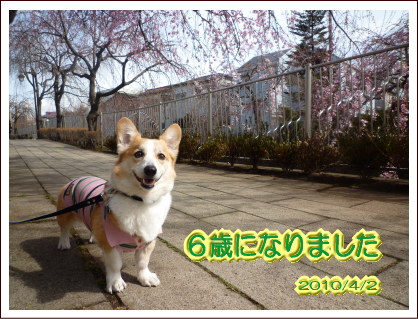 20100402-1