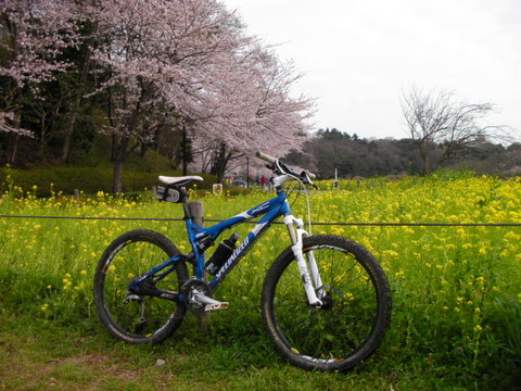 SANY0336