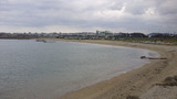 d31cf4a9.jpg