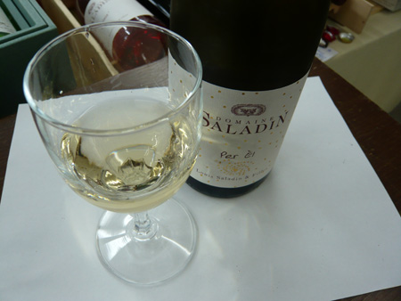 saladin-per-el-rhone-villag