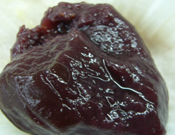 ichijiku dessert