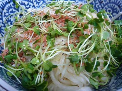 okiami-and-daikon-radish-salad