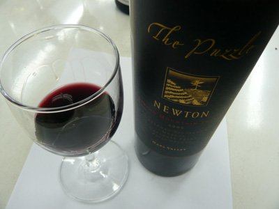 the-puzzle-newton