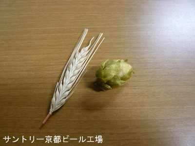 BlogPaint