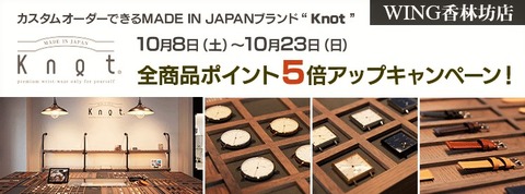 20161008-23_knot