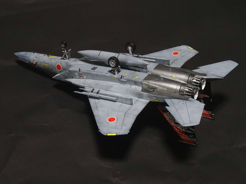 F-15J 60 (12)