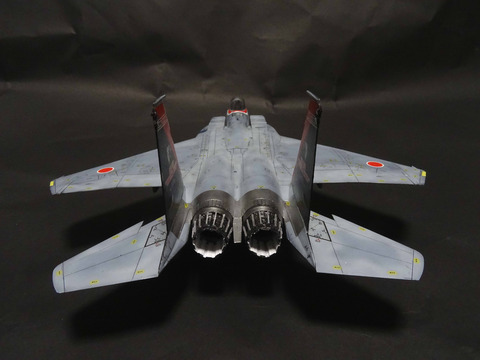 F-15J 60 (8)
