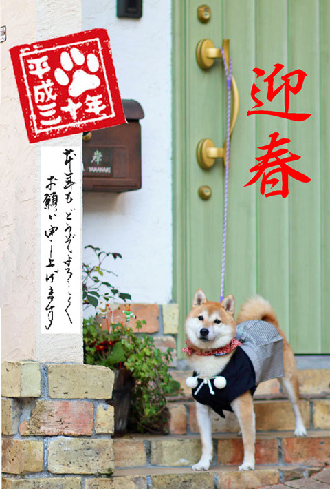 2 年賀状2018