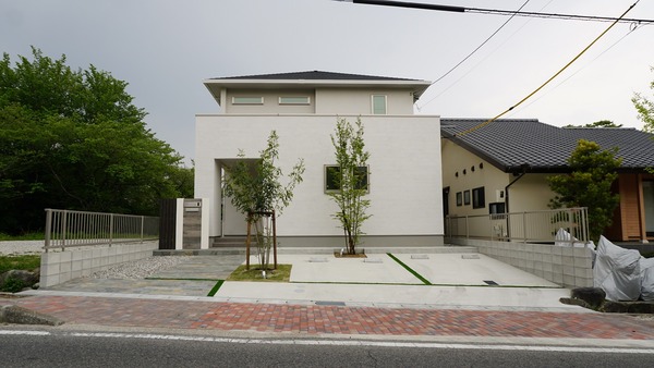 (1)