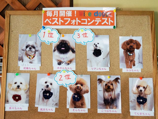 全体写真