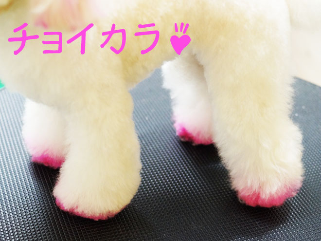 ブログ用