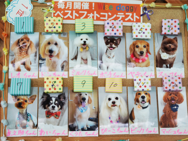 6がつのべすと