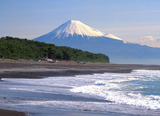 fuji