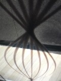 ひげたまねぎ