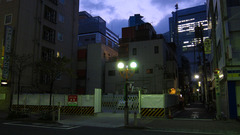IMG_2065s