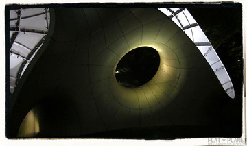 IMG_1772sf