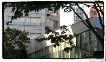 P1120351sf