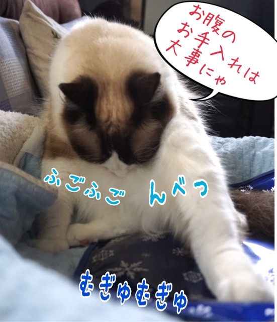 2017-06-27-06-44-53