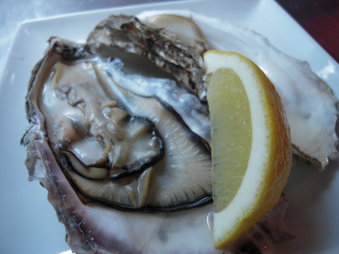 DSCN1151