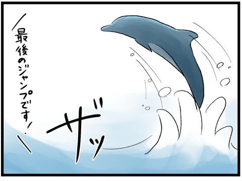 イルカショーの常連らしき人7
