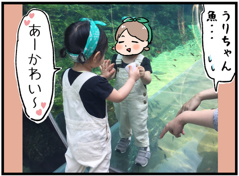 衝撃映像4