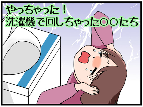 やっちゃった!洗濯機で回しちゃった○○たち①