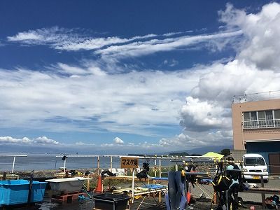 IMG_0673