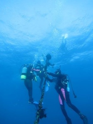 IMG_1809