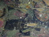 P4290119