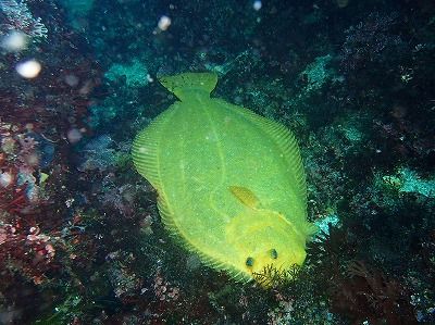 P3290416