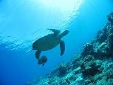 IMG_4956