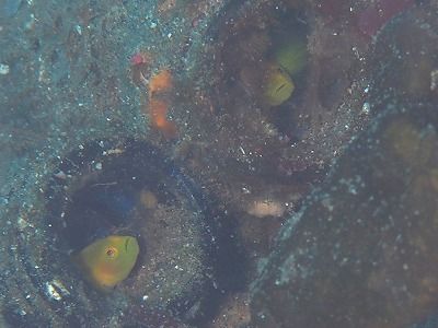 P3130078