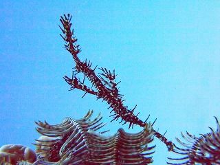 P9170606