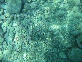 IMG_0221